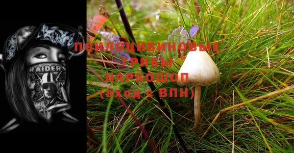 таблы Новодвинск