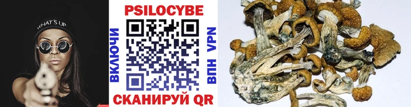 Купить закладки  Кремёнки  Псилоцибиновые грибы мицелий 